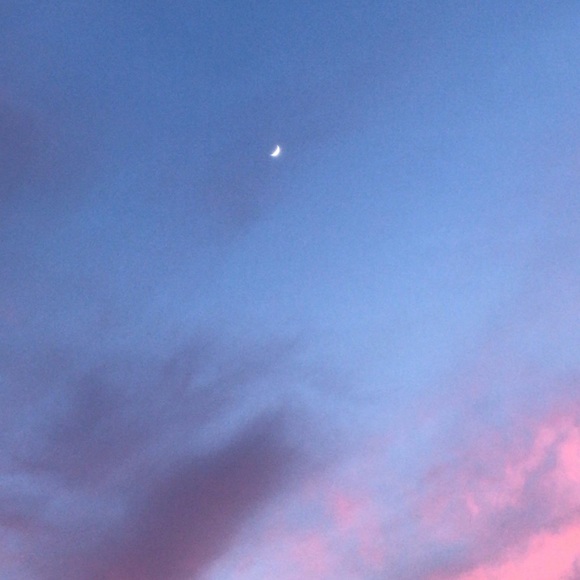 Meet your Posher, Chelsea - Picture 1 of 1